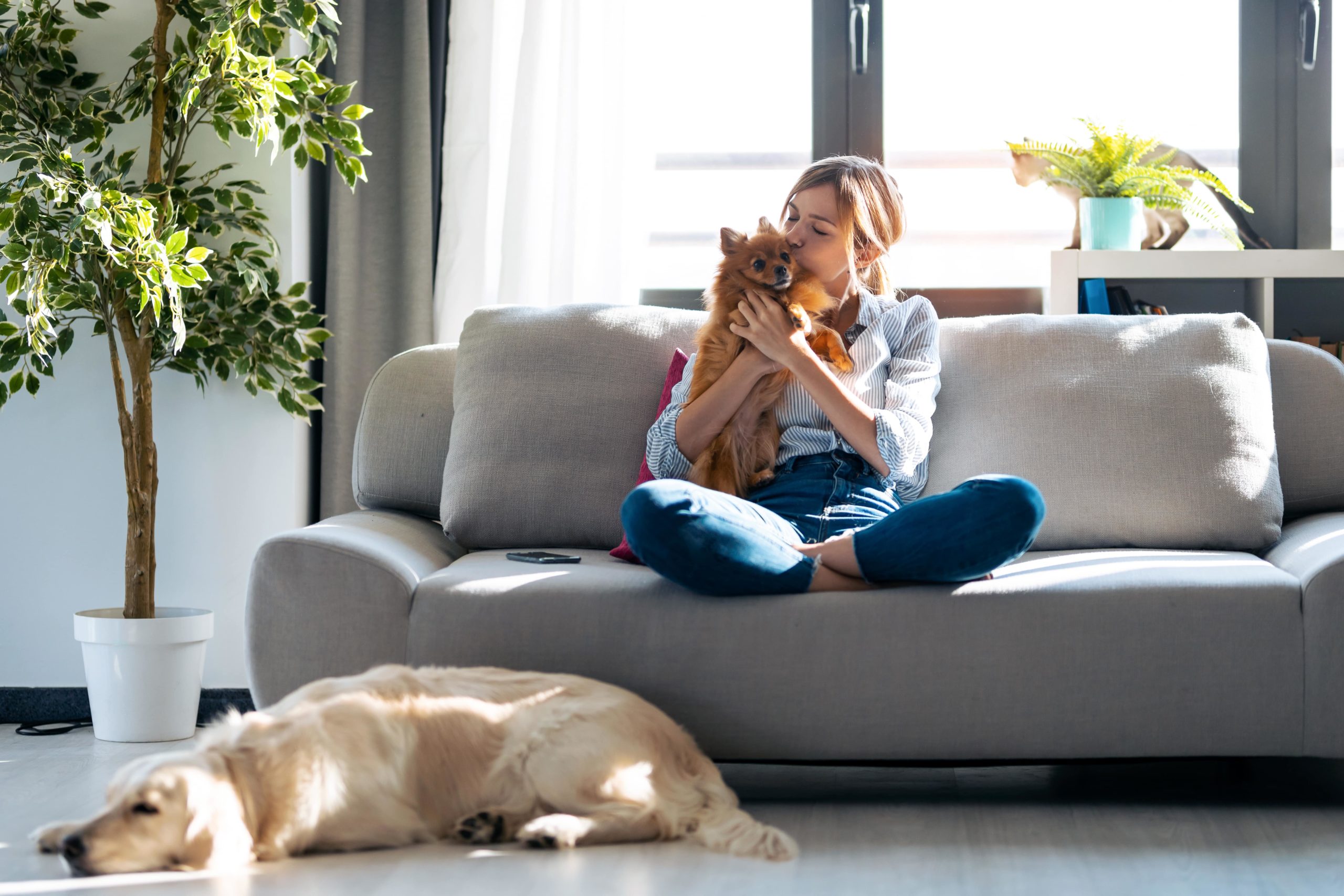 Should San Diego Rental Property Owners Rent to People with Pets? - Article Banner